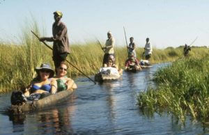 Sunway Mokoro trail in the Okavango Delta