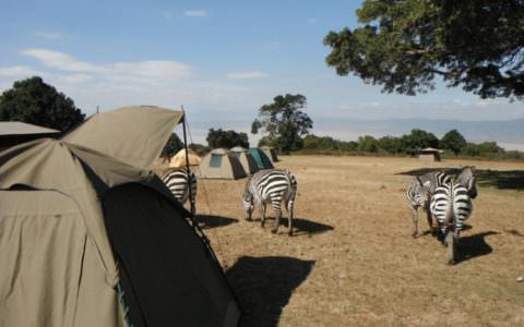 african safari small group tours