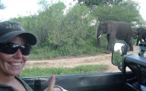 Kruger – the Budget Safari Destination