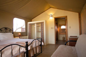 22 Day Cape Town to Victoria Falls - Desert_camp - Bedroom