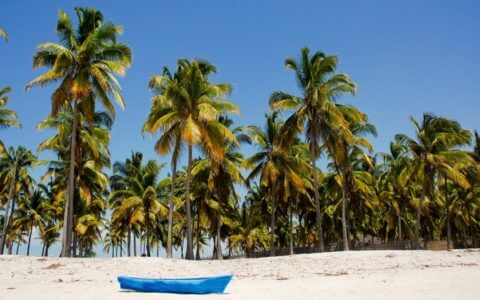 Explore the Hidden Gems of the Land and Sea in Mozambique [Tips]