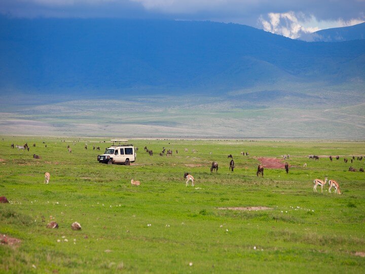 Insight into the Serengeti Upgraded Camping Excursion