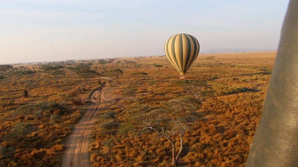 serengeti-hot-air-balloon-overland