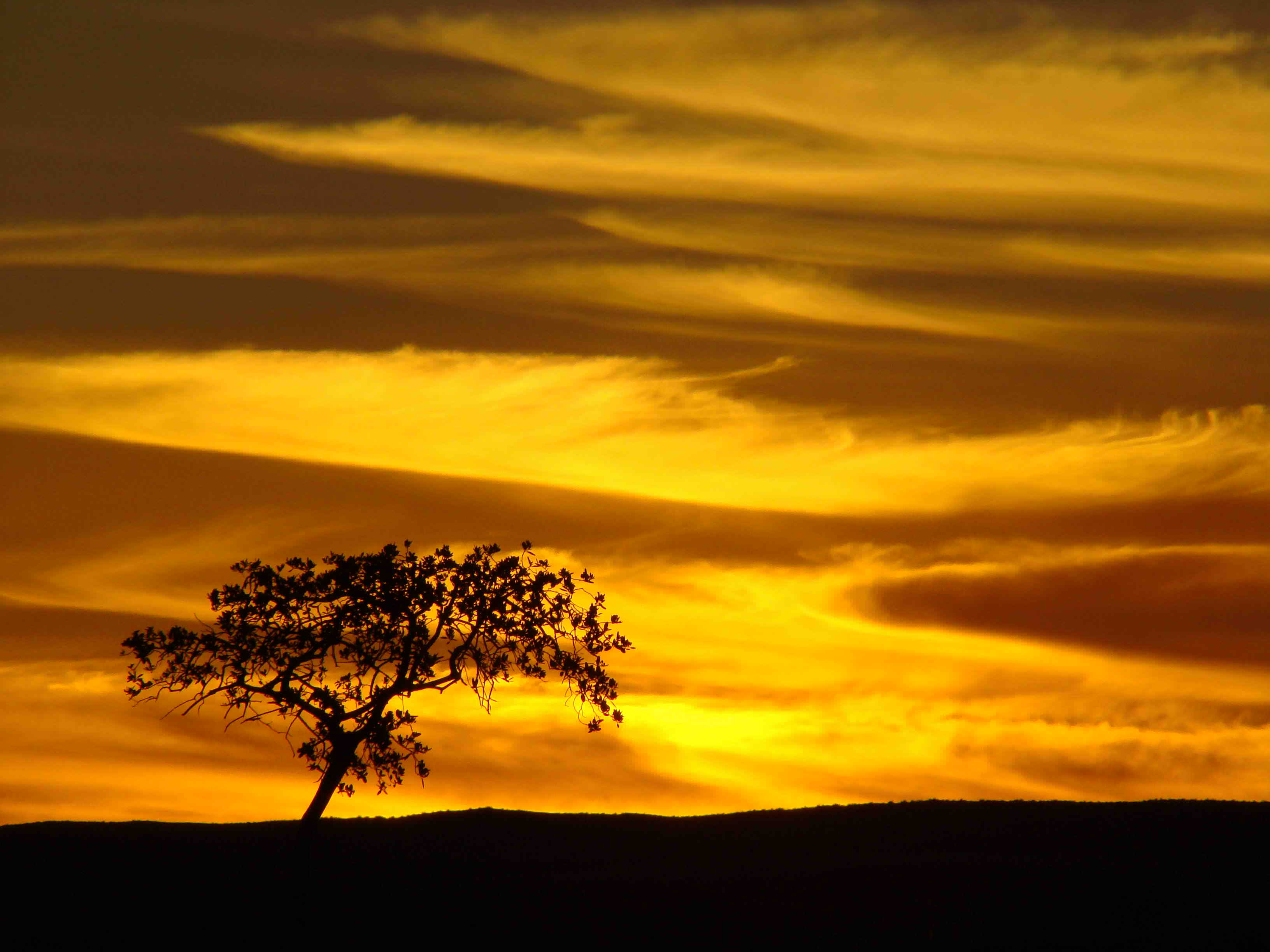Namib_sunset