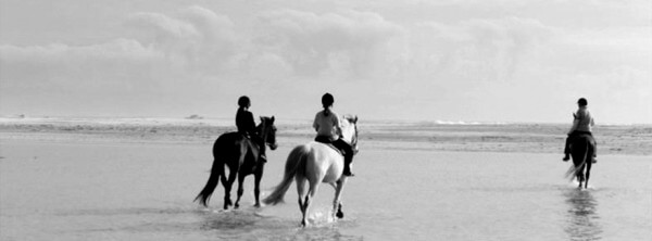 horse-riding-on-beach