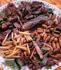Edible Insects in Africa