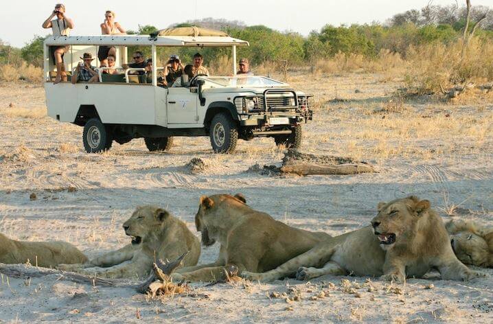 What are the Best African Safaris?