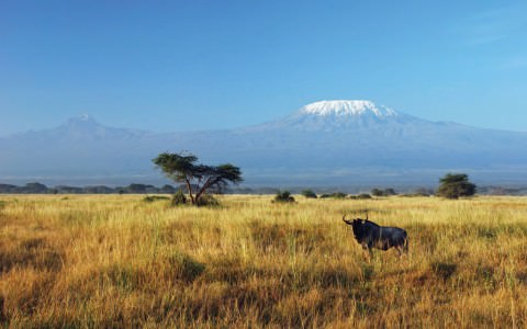 20 Fascinating Facts about Mt Kilimanjaro