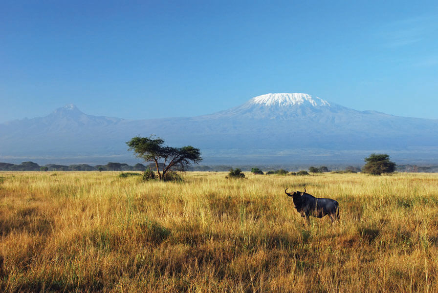20 Fascinating Facts about Mt Kilimanjaro