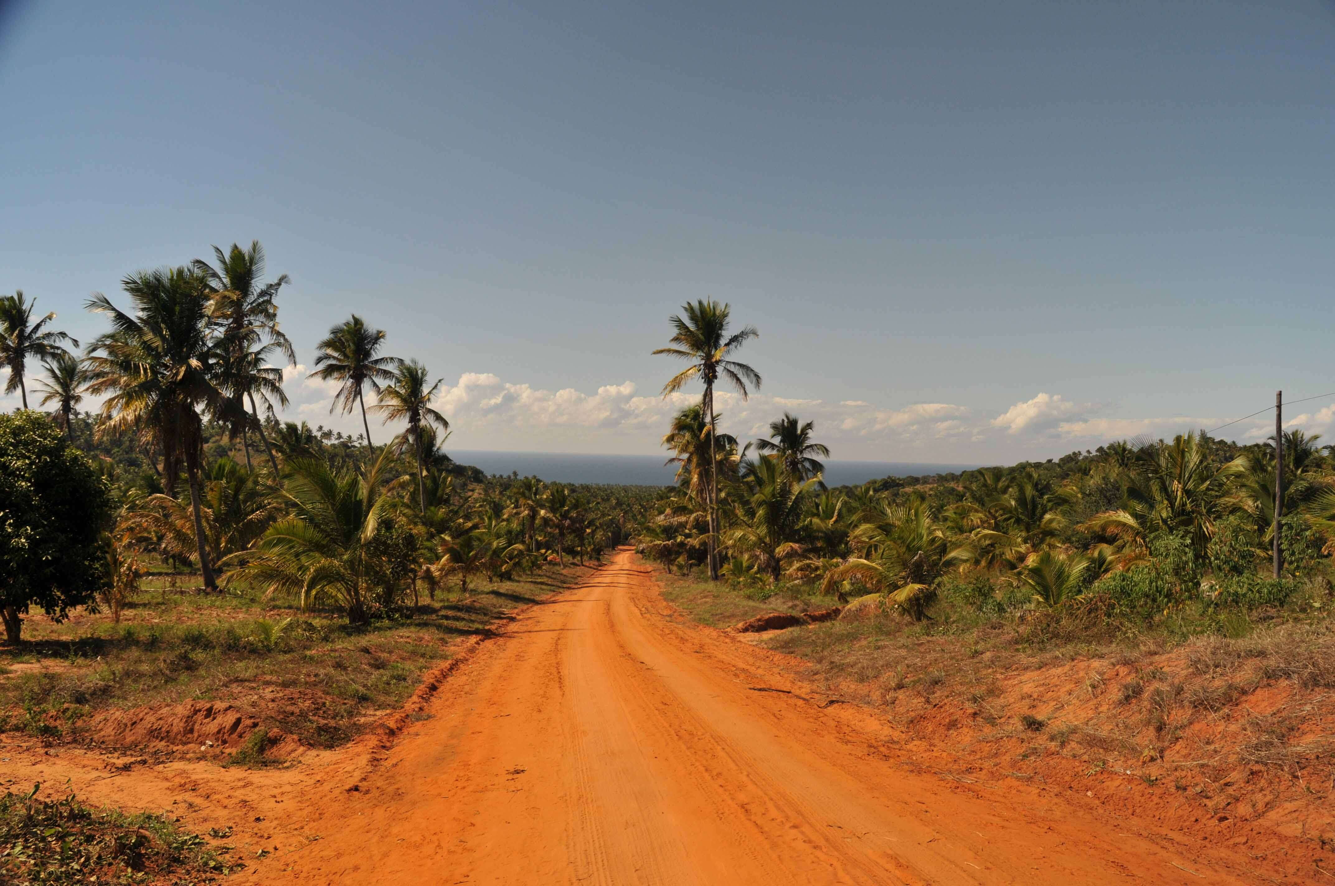 safari tour mozambique