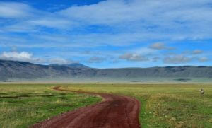 Road to Ngorongoro Crater