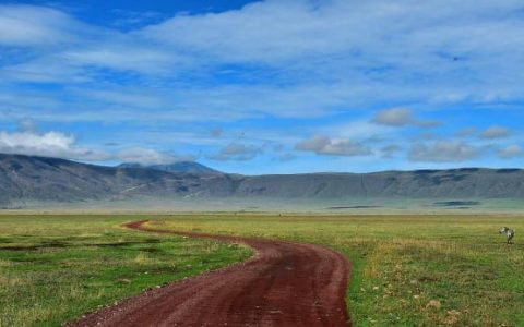 Ngorongoro Crater Safari Tours
