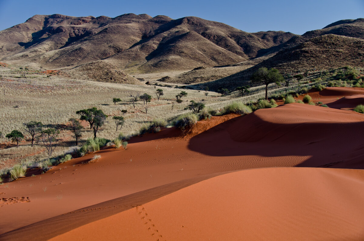 Namib Desert 