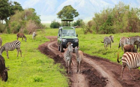 small group overland safari