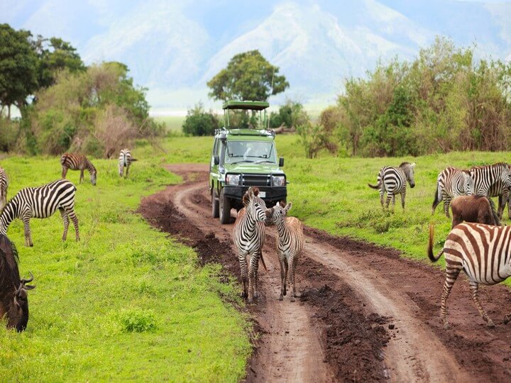 small group african safari