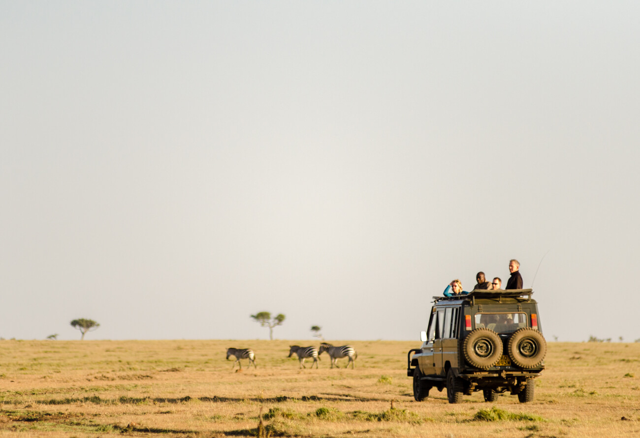 A complete guide to transportation on a safari