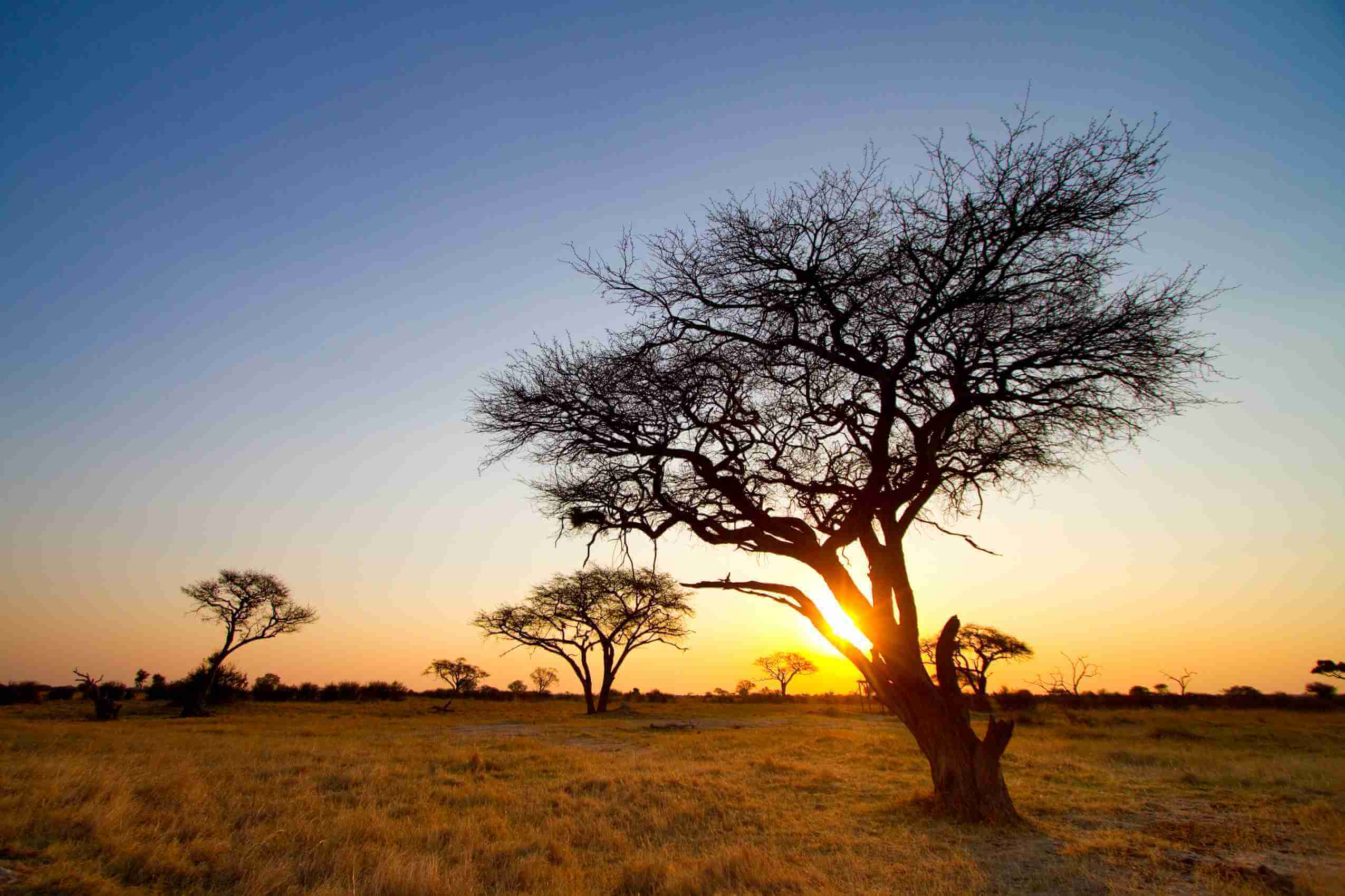 Hwange National Park, Zimbabwe