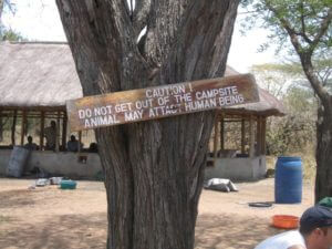 serengeti campsite