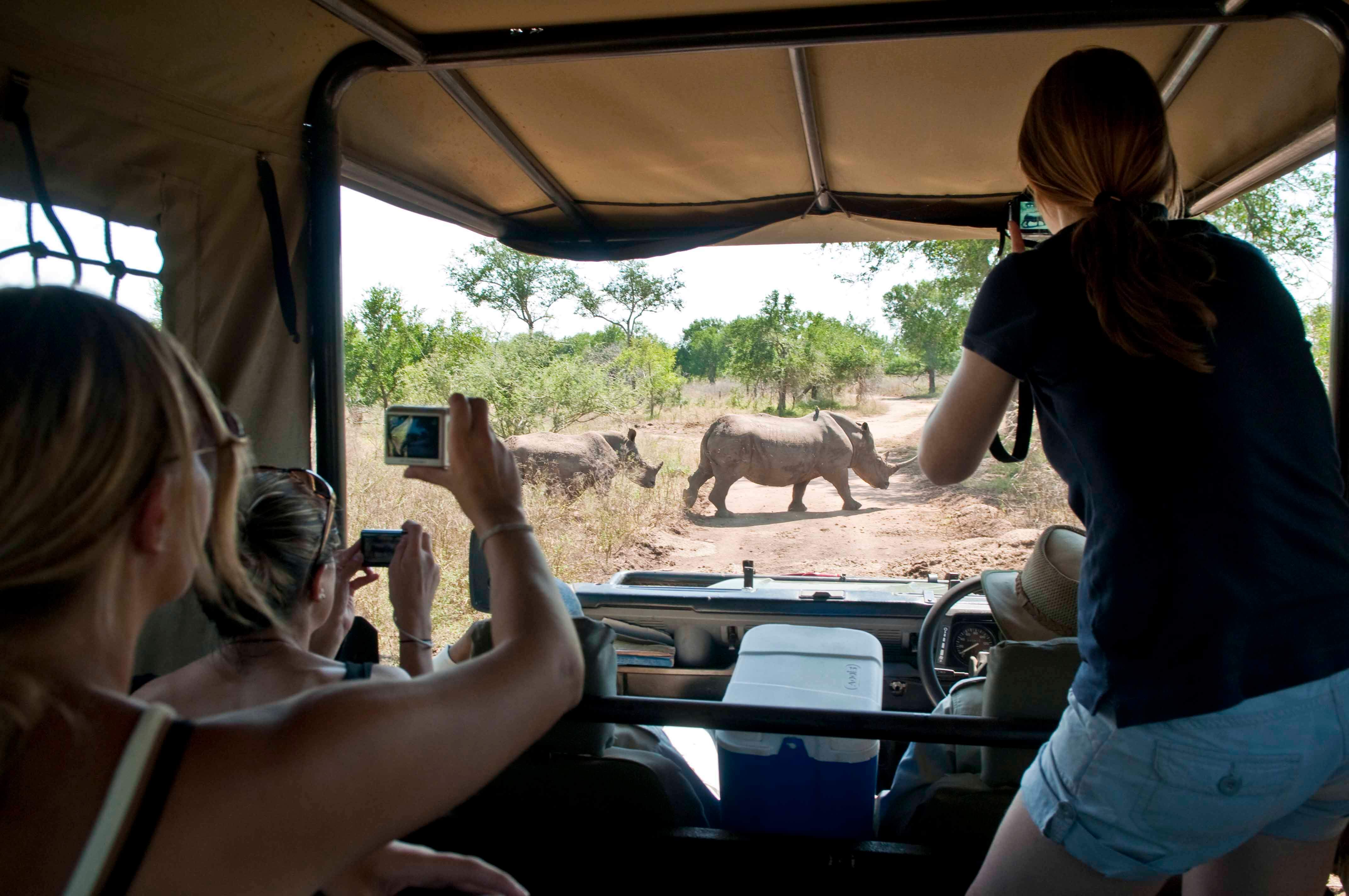 When is the Best Time to go on an African Safari?