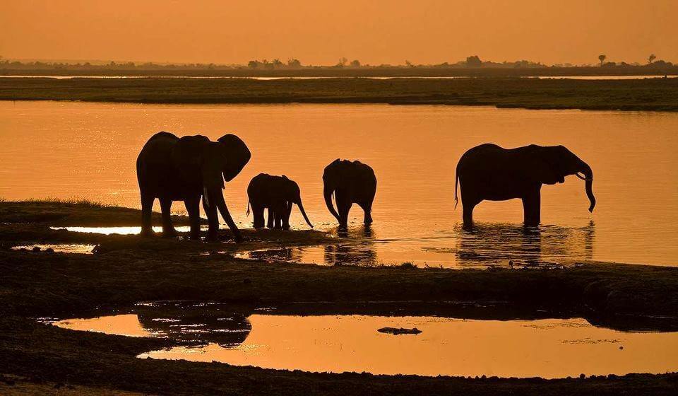 5 reasons to visit Chobe National Park, Botswana