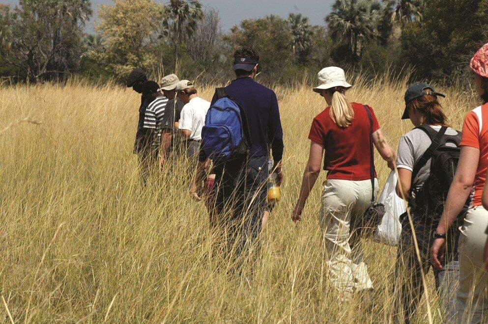 Okavango Delta Walking Safari