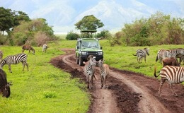The best short African overlanding safaris