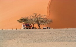 Our best budget desert overlanding safaris