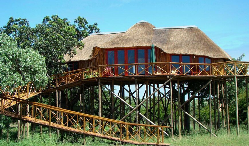 Stay in South Africa’s best treehouses