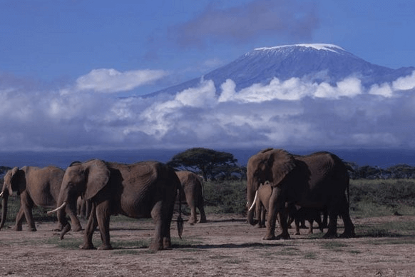 The greatest mountain peaks to hike in Africa