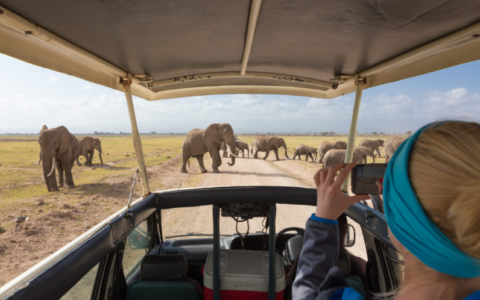 Small Group Safari through Tanzania and Kenya