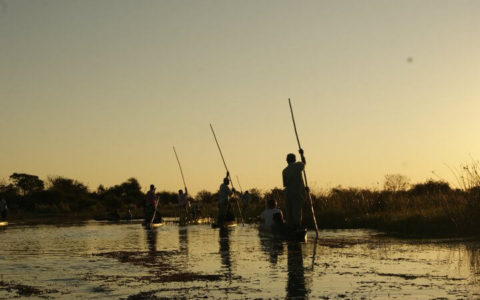 The Ultimate Guide to Exploring the Okavango Delta in Botswana [Guide]