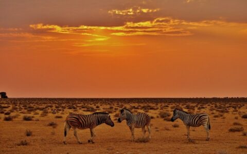5 Day Namibia Desert Wonders - Private Safari