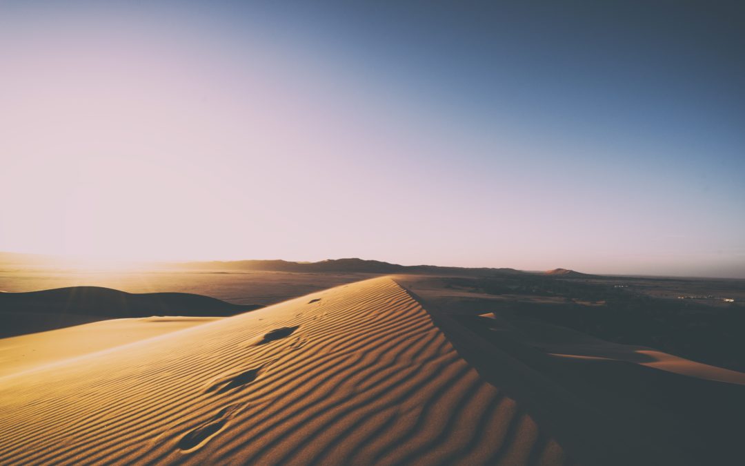 Travel Namibia: Explore Desert Wonders