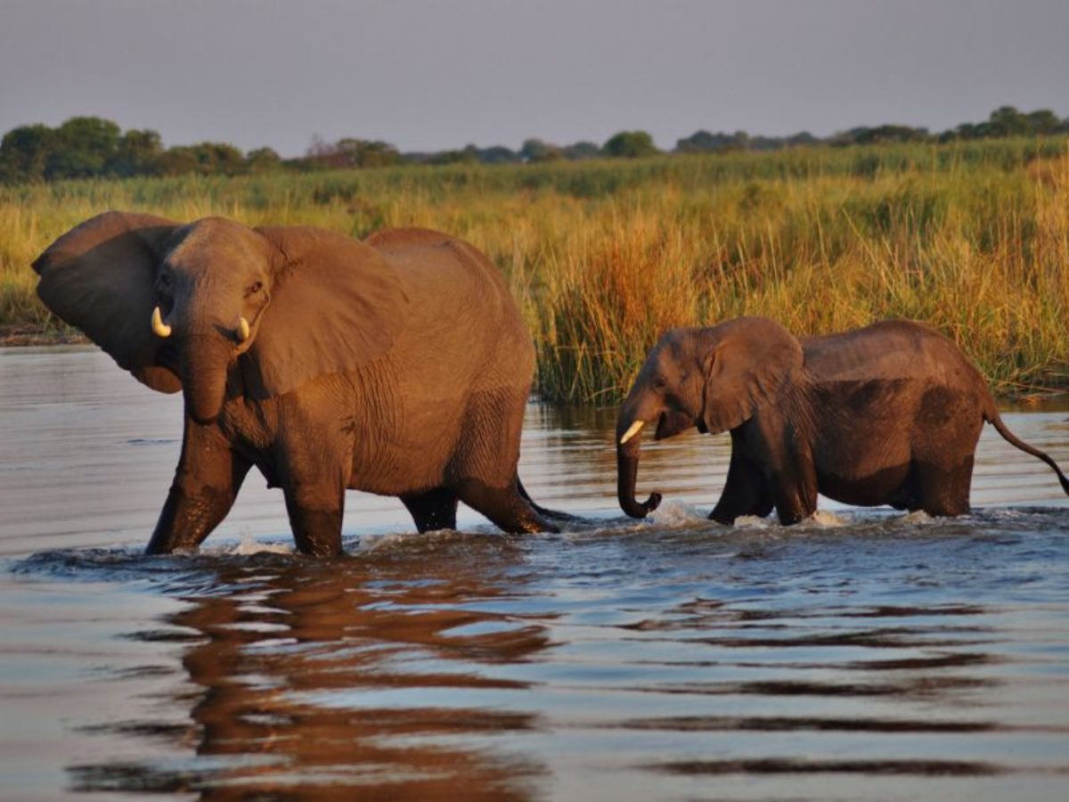 Top 7 Most Places to in Botswana - Africa - Budget Safaris Packages | Overland Tours