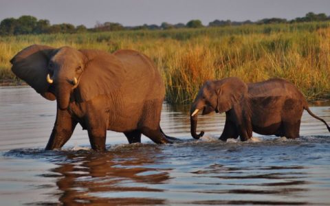 Top 7 Most Beautiful Places to Travel in Botswana