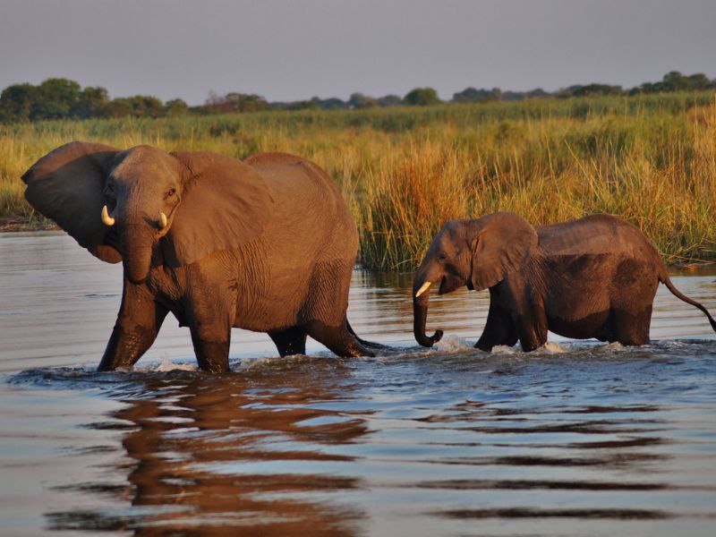 Top 7 Most Beautiful Places to Travel in Botswana