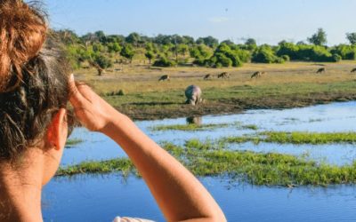 View All Botswana Tours | African Overland Tours