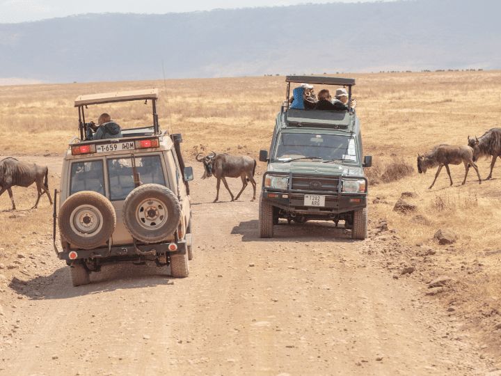 4x4 open rood game drive