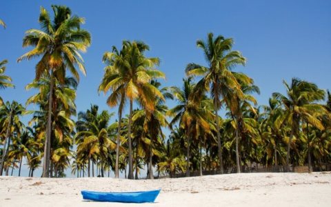 Mozambique adventure