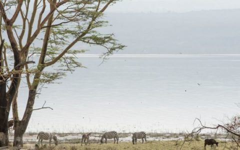 East Africa’s Beautiful Lakes – Experience the Great Lakes!