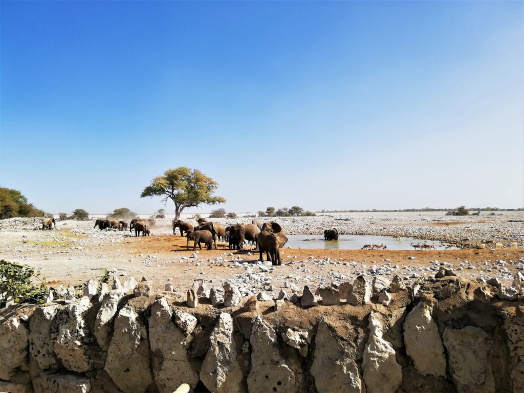Namibia Safari Tour on a Budget to Ookonjima