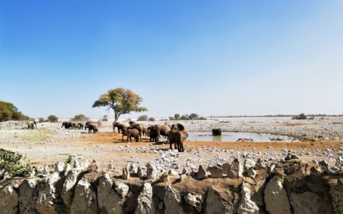 Namibia Safari Tour on a Budget to Ookonjima