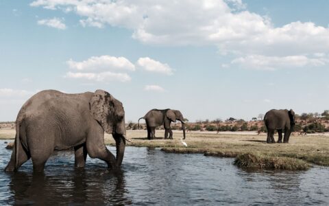 Chobe on a Botswana Premium Small Group Safari Tour