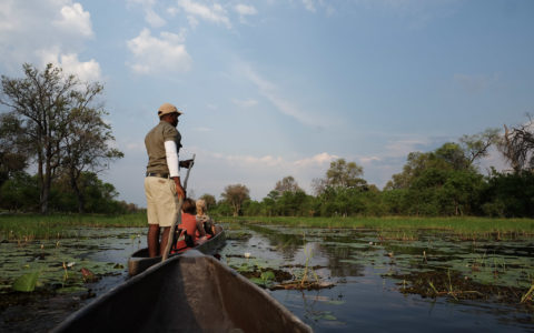 botswana tour on a budget in the Okavango Delta