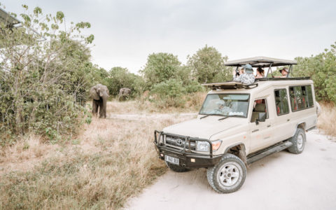 Game viewing on a classic small group Botswana tour